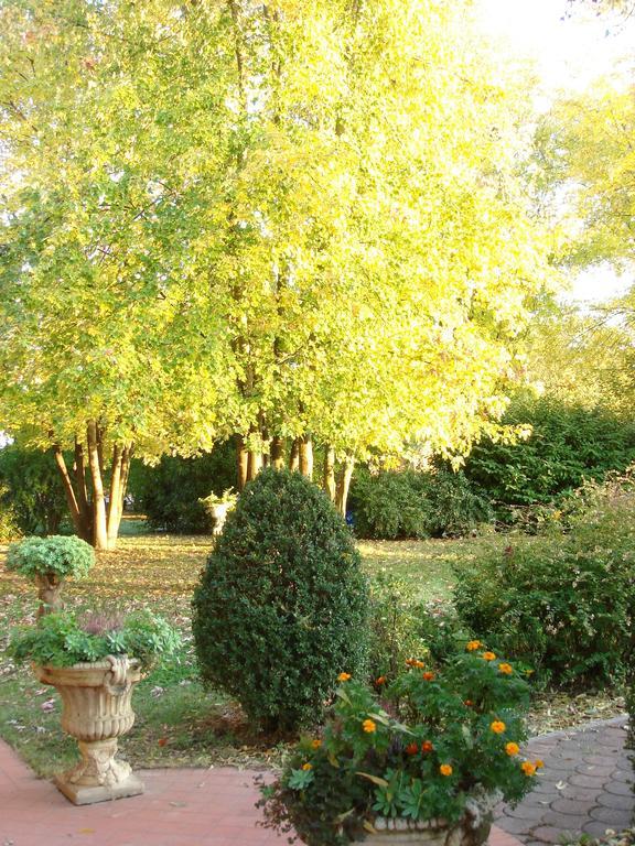 La Corte Del Cavaliere Bed&Breakfast Calderara di Reno Exterior foto